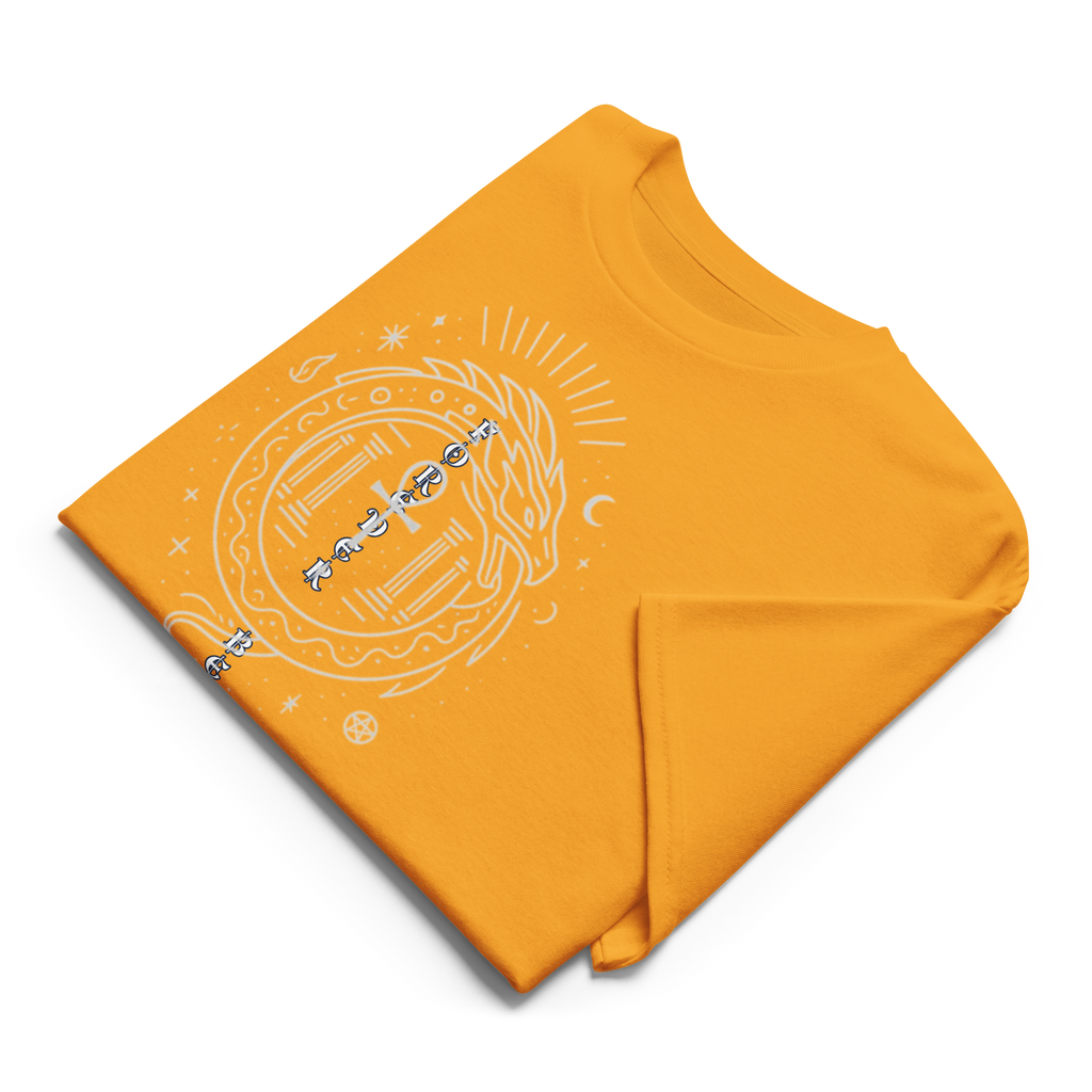 DryBlend® T-Shirt Ouroboros