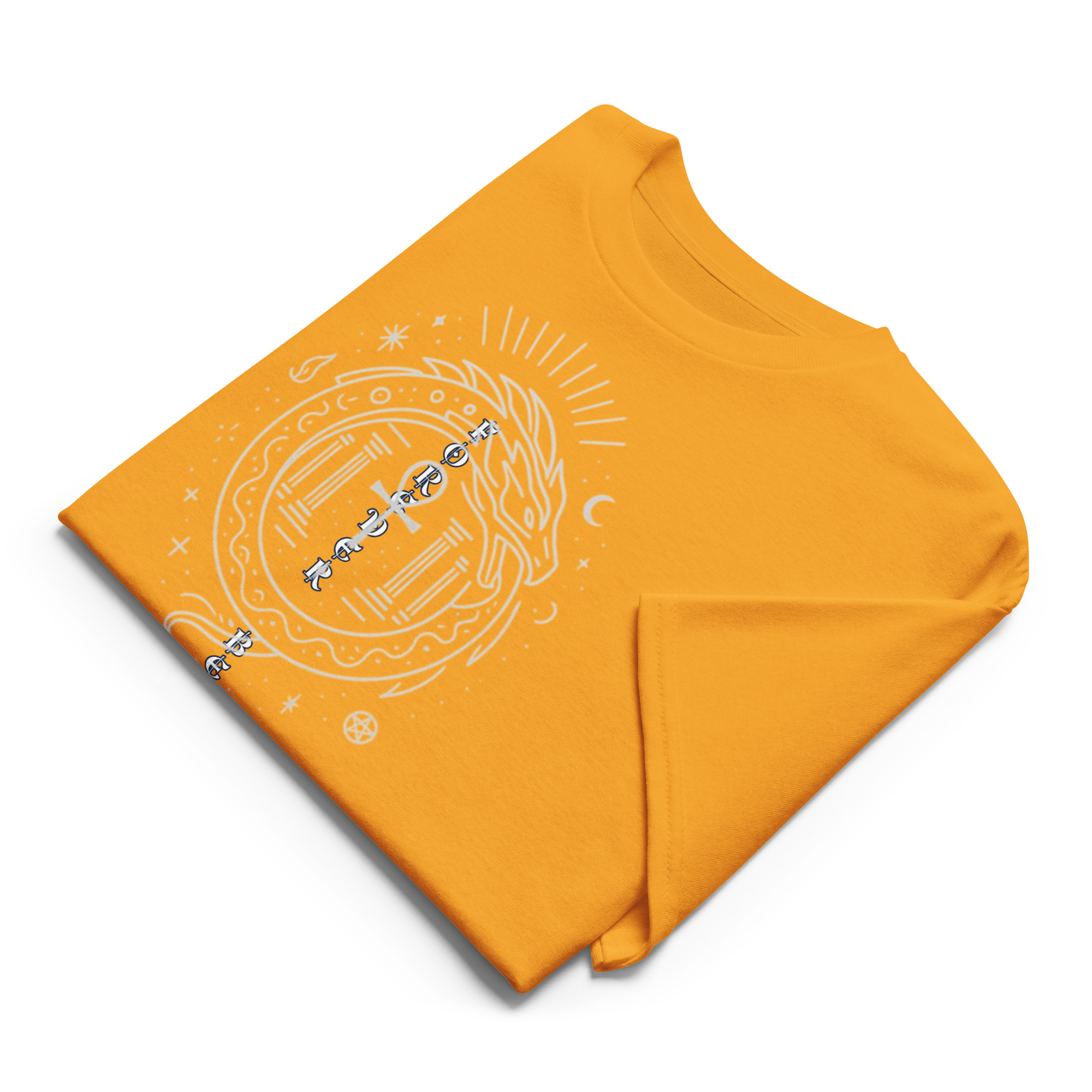 DryBlend® T-Shirt Ouroboros