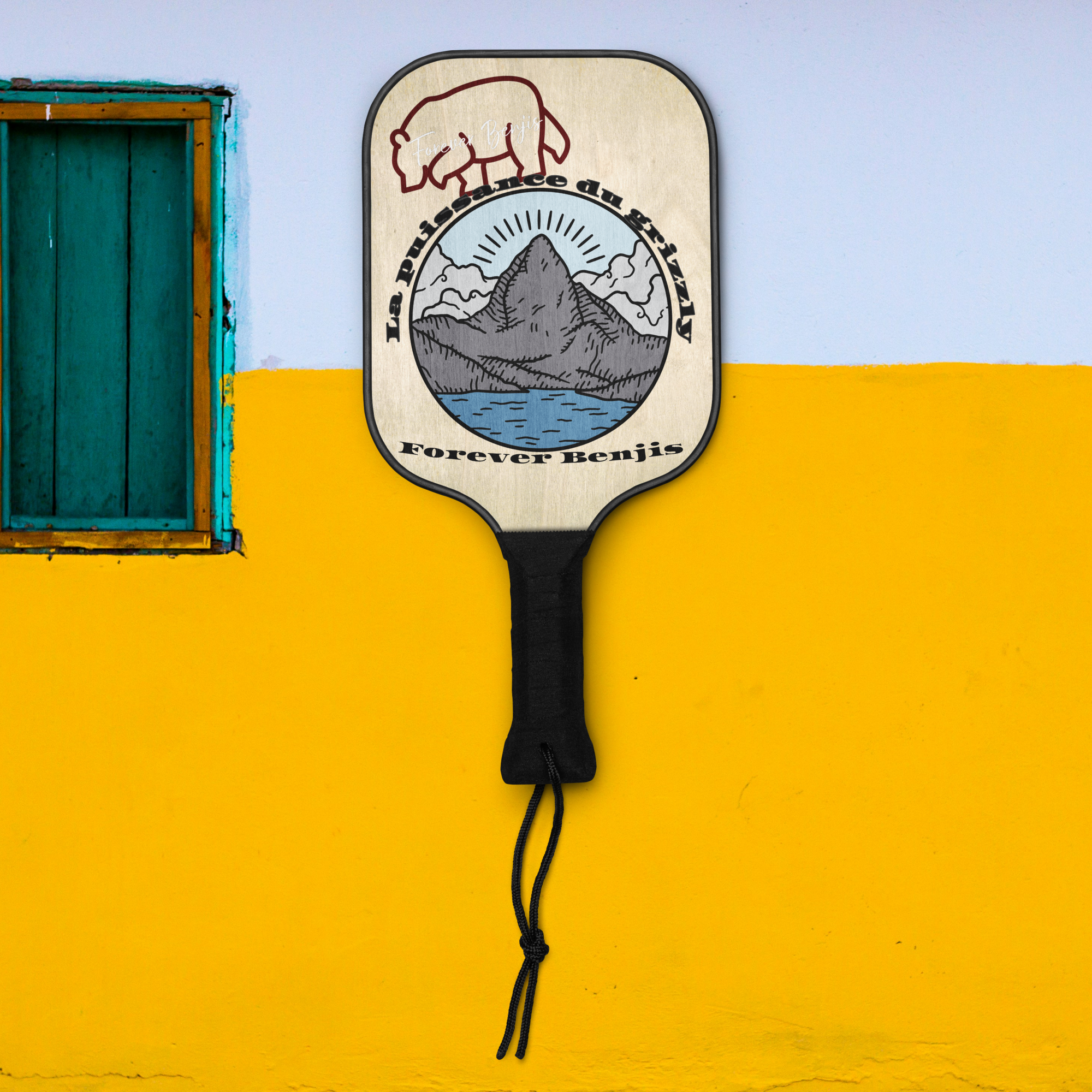 Pickleball paddle set