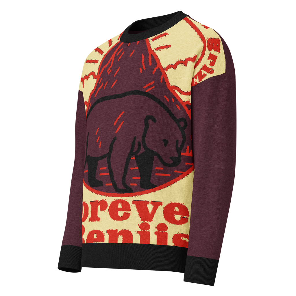 Relaxed fit knitted crew neck sweater